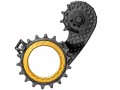 ab-hollowcage-złoty.jpg