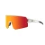 BLO_flanders-bial-pom1.webp
