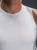 protorso4.webp
